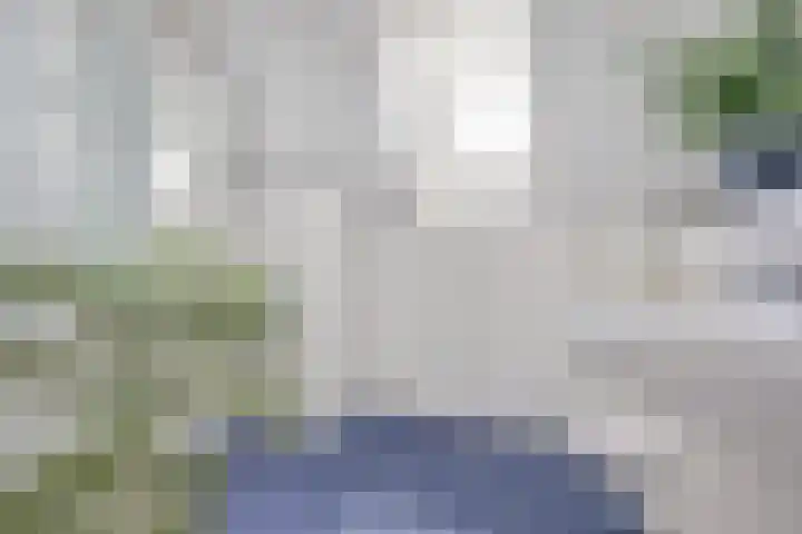 Rietdekker 46 Beuningen Gld thumbnail 27