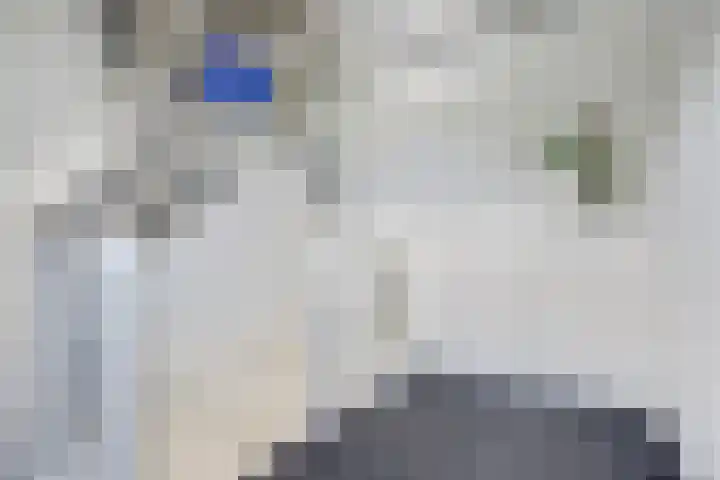 Rietdekker 46 Beuningen Gld thumbnail 30