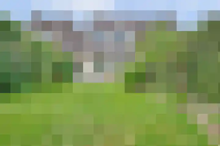 Rietdekker 46 Beuningen Gld thumbnail 34