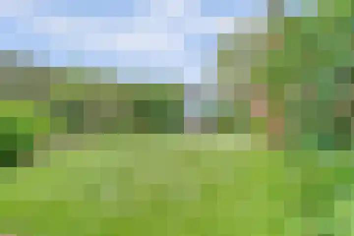 Rietdekker 46 Beuningen Gld thumbnail 35