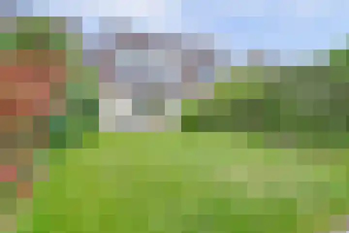 Rietdekker 46 Beuningen Gld thumbnail 36