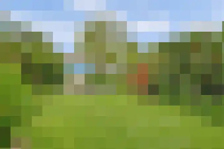 Rietdekker 46 Beuningen Gld thumbnail 38