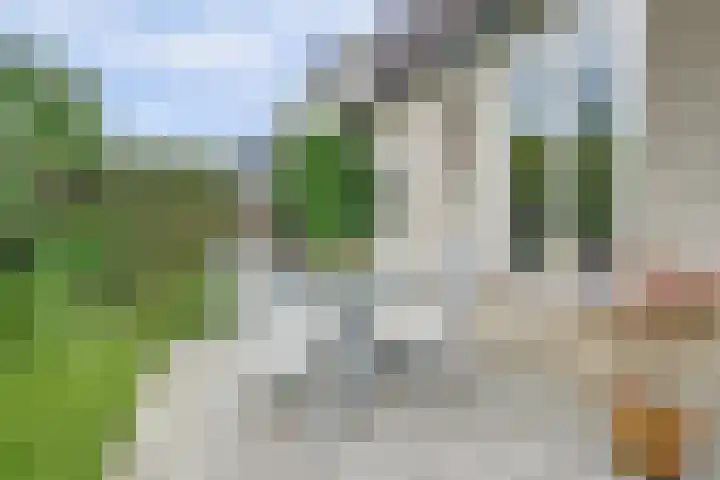 Rietdekker 46 Beuningen Gld thumbnail 39