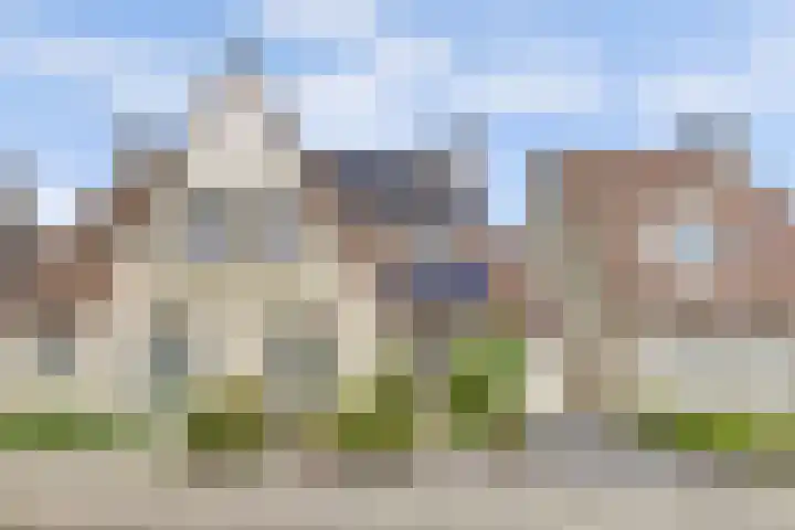 Rietdekker 46 Beuningen Gld thumbnail 41