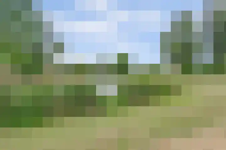 Rietdekker 46 Beuningen Gld thumbnail 42