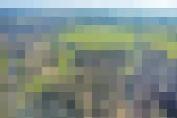 Rietdekker 46 Beuningen Gld thumbnail 43