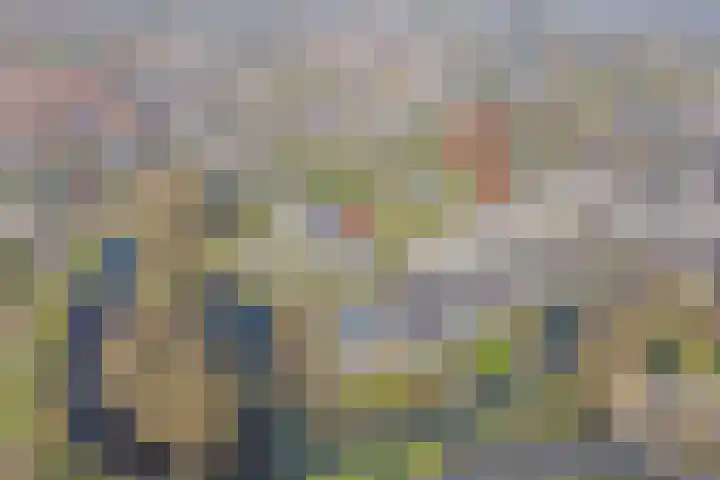 Rietdekker 46 Beuningen Gld thumbnail 44