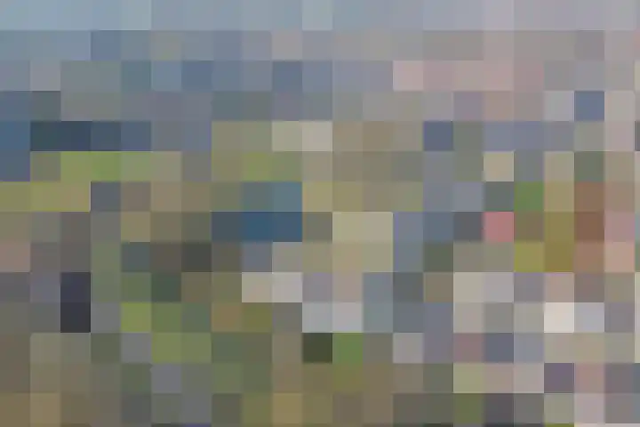 Rietdekker 46 Beuningen Gld thumbnail 45
