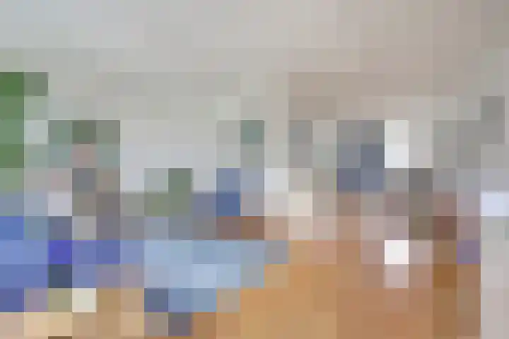 Rietdekker 46 Beuningen Gld thumbnail 6