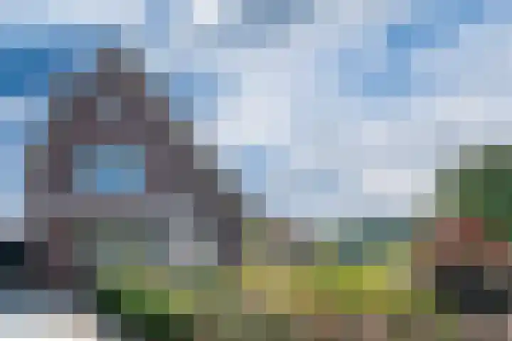 Rietdekker 69 in Wijchen
