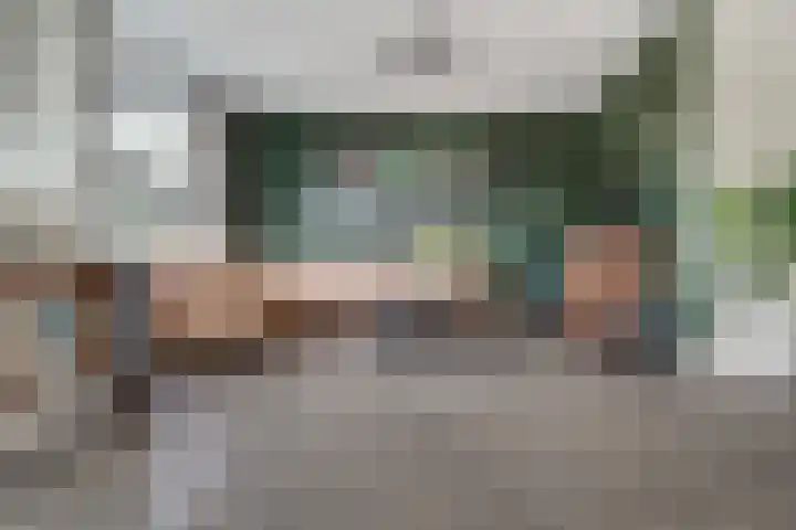 Rietdekker 69 Wijchen thumbnail 10