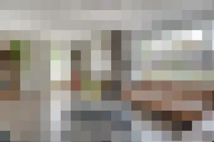 Rietdekker 69 Wijchen thumbnail 12