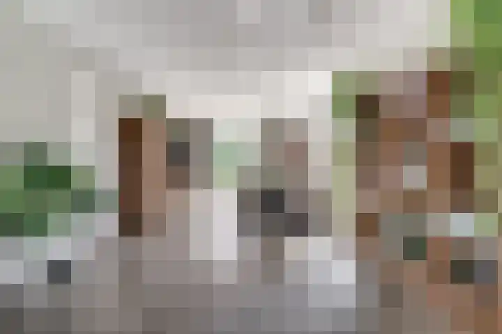 Rietdekker 69 Wijchen thumbnail 13
