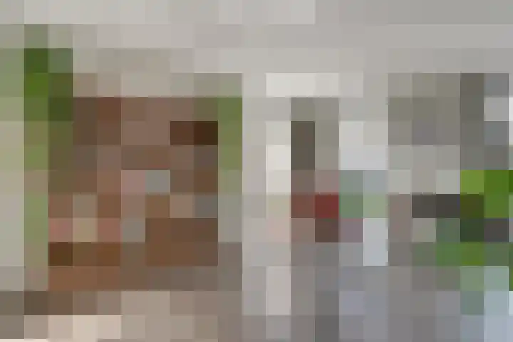 Rietdekker 69 Wijchen thumbnail 15