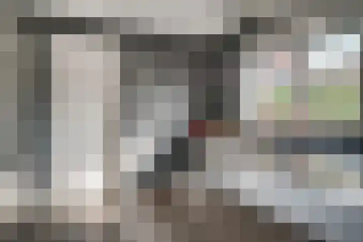Rietdekker 69 Wijchen thumbnail 18