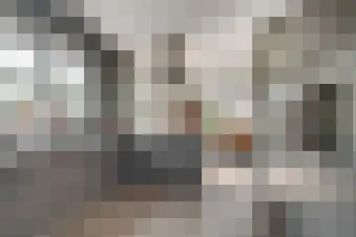 Rietdekker 69 Wijchen thumbnail 19