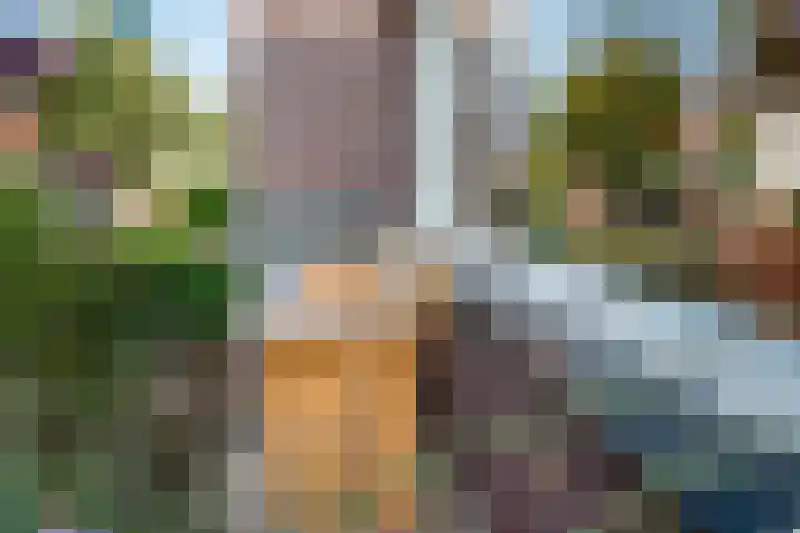 Rietdekker 69 Wijchen thumbnail 22