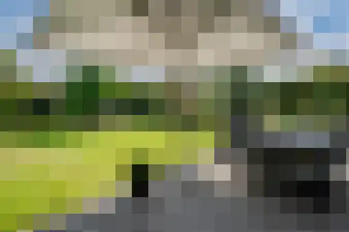 Rietdekker 69 Wijchen thumbnail 27