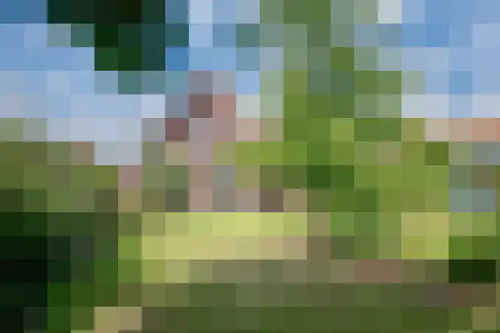 Rietdekker 69 Wijchen thumbnail 30