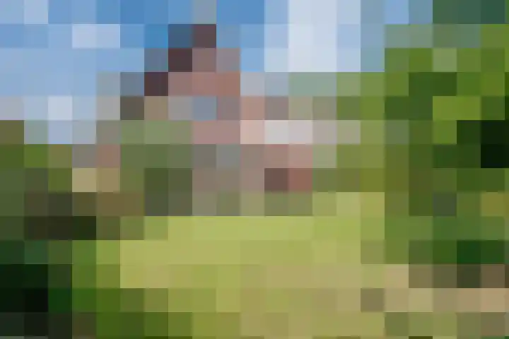 Rietdekker 69 Wijchen thumbnail 31
