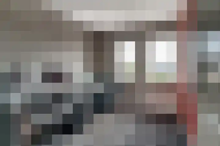Rietdekker 69 Wijchen thumbnail 34