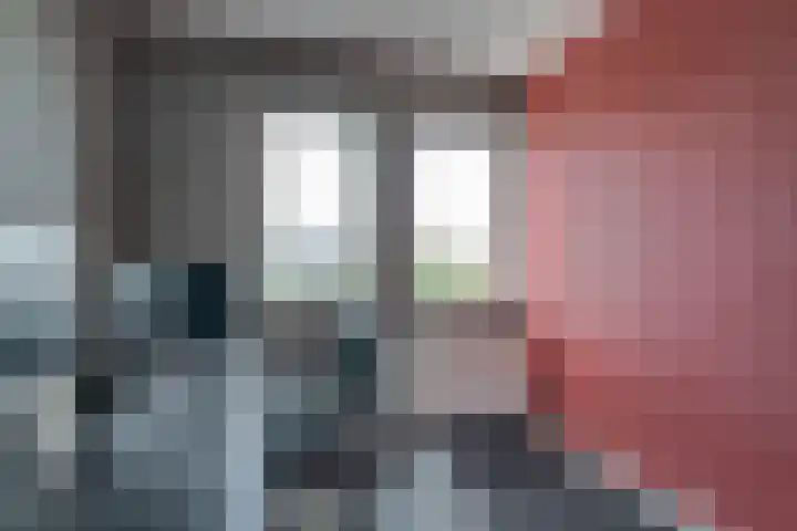 Rietdekker 69 Wijchen thumbnail 35