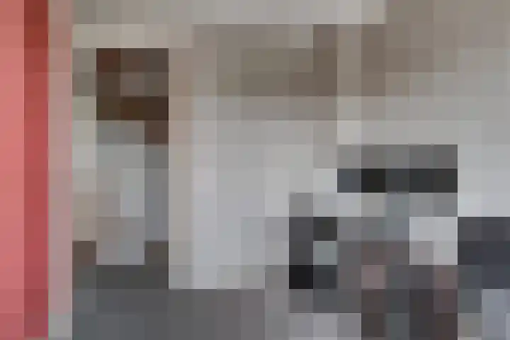 Rietdekker 69 Wijchen thumbnail 36