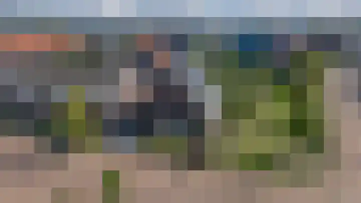 Rietdekker 69 Wijchen thumbnail 4