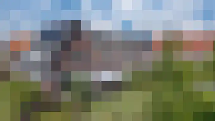 Rietdekker 69 Wijchen thumbnail 47