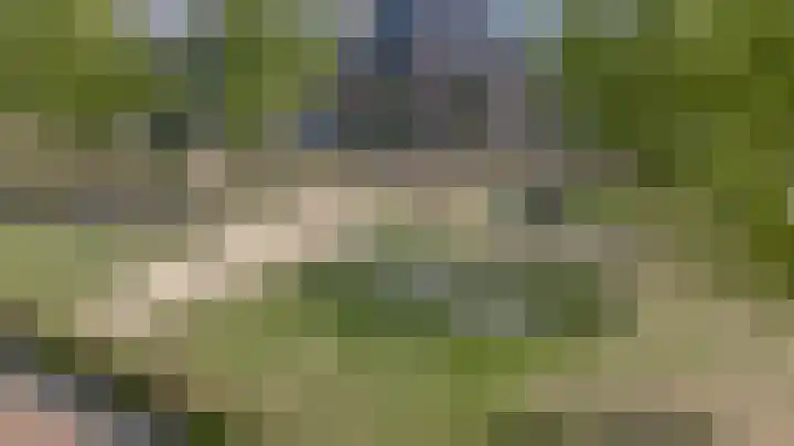Rietdekker 69 Wijchen thumbnail 53