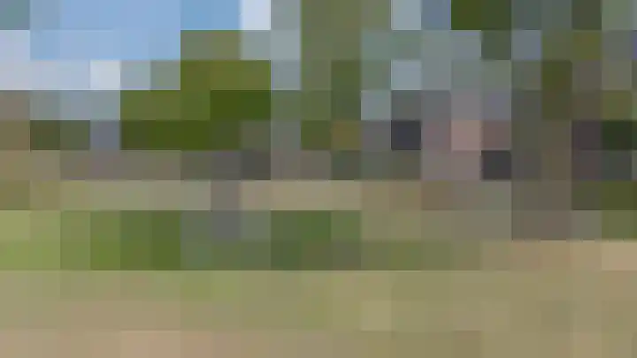 Rietdekker 69 Wijchen thumbnail 54