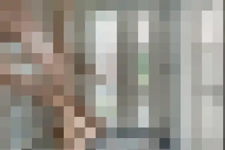 Rietdekker 69 Wijchen thumbnail 6