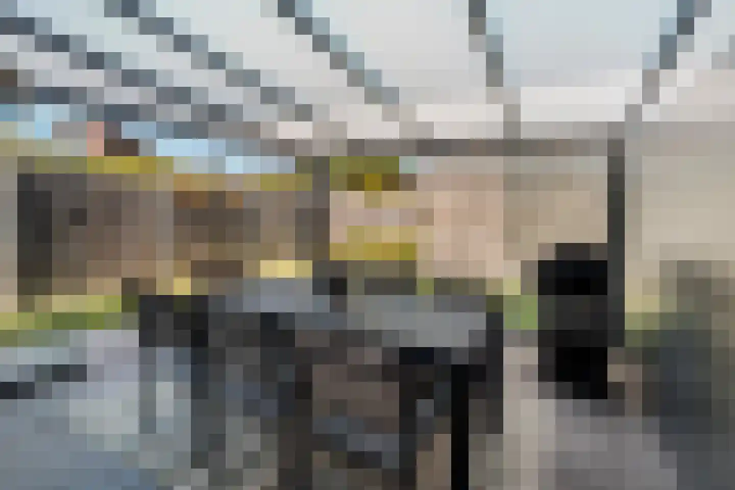 Rietdekkerij 35 Barendrecht thumbnail 26