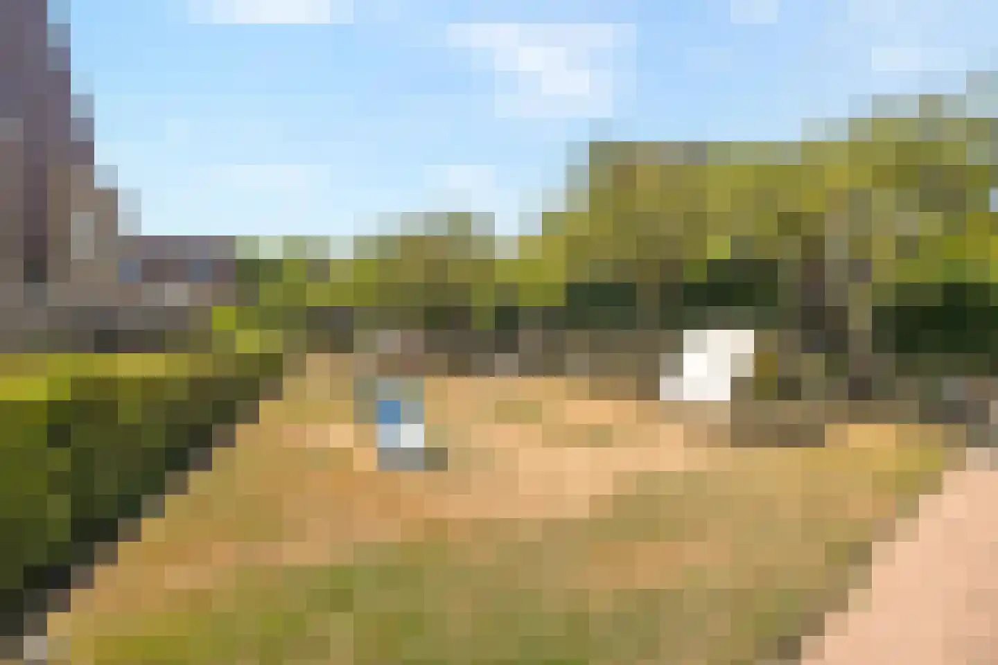 Rietdekkerij 35 Barendrecht thumbnail 30