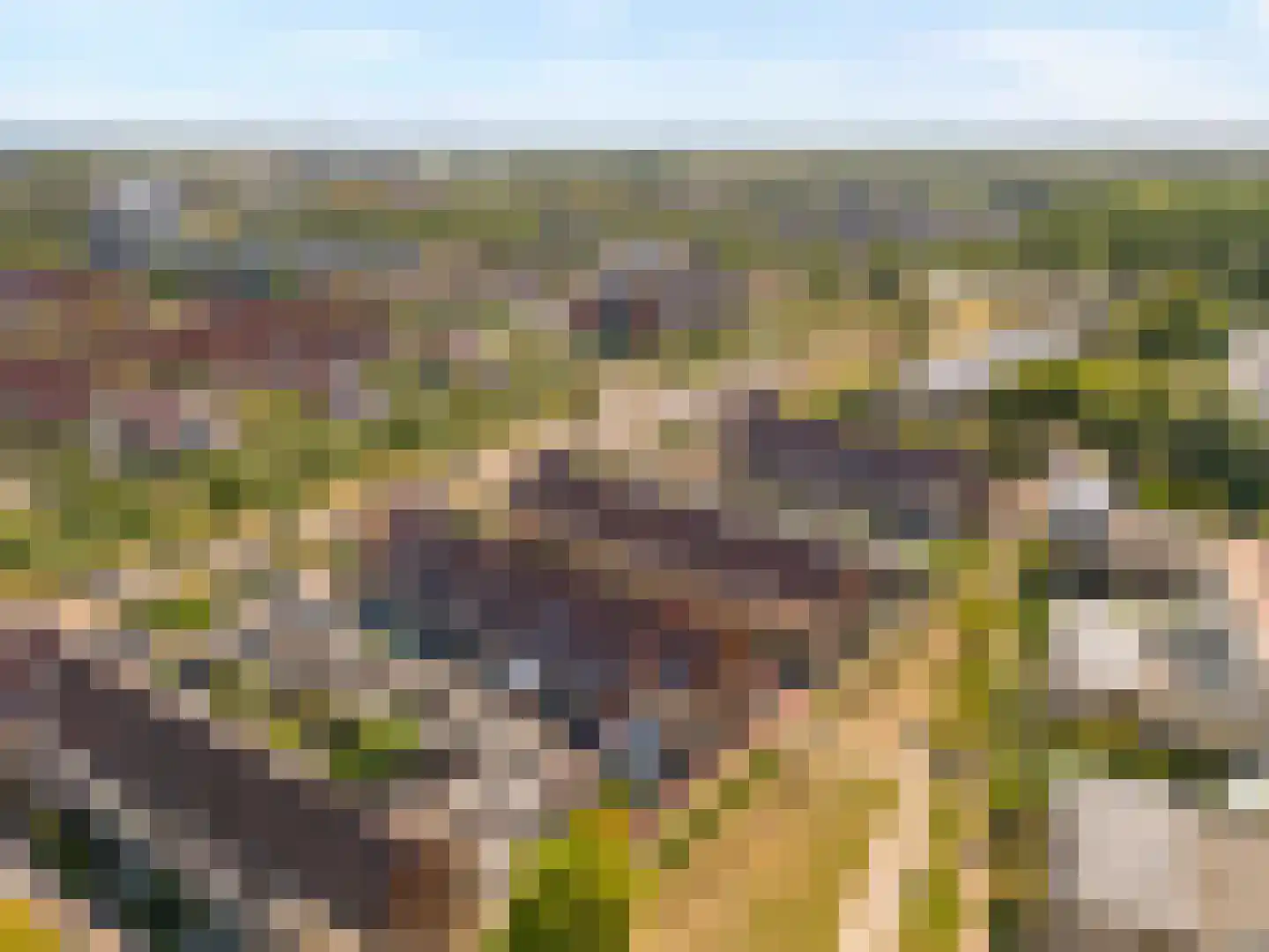 Rietdekkerij 35 Barendrecht thumbnail 32