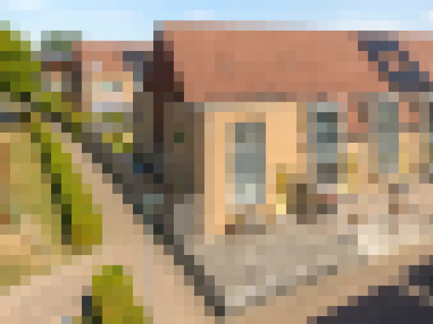 Rietdekkerij 35 Barendrecht thumbnail 6