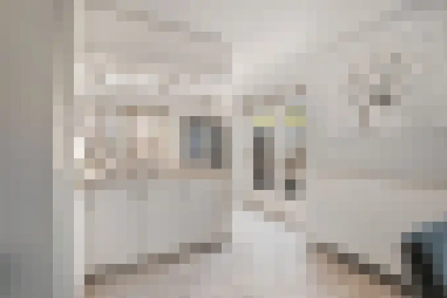 Rietdekkerij 35 Barendrecht thumbnail 8