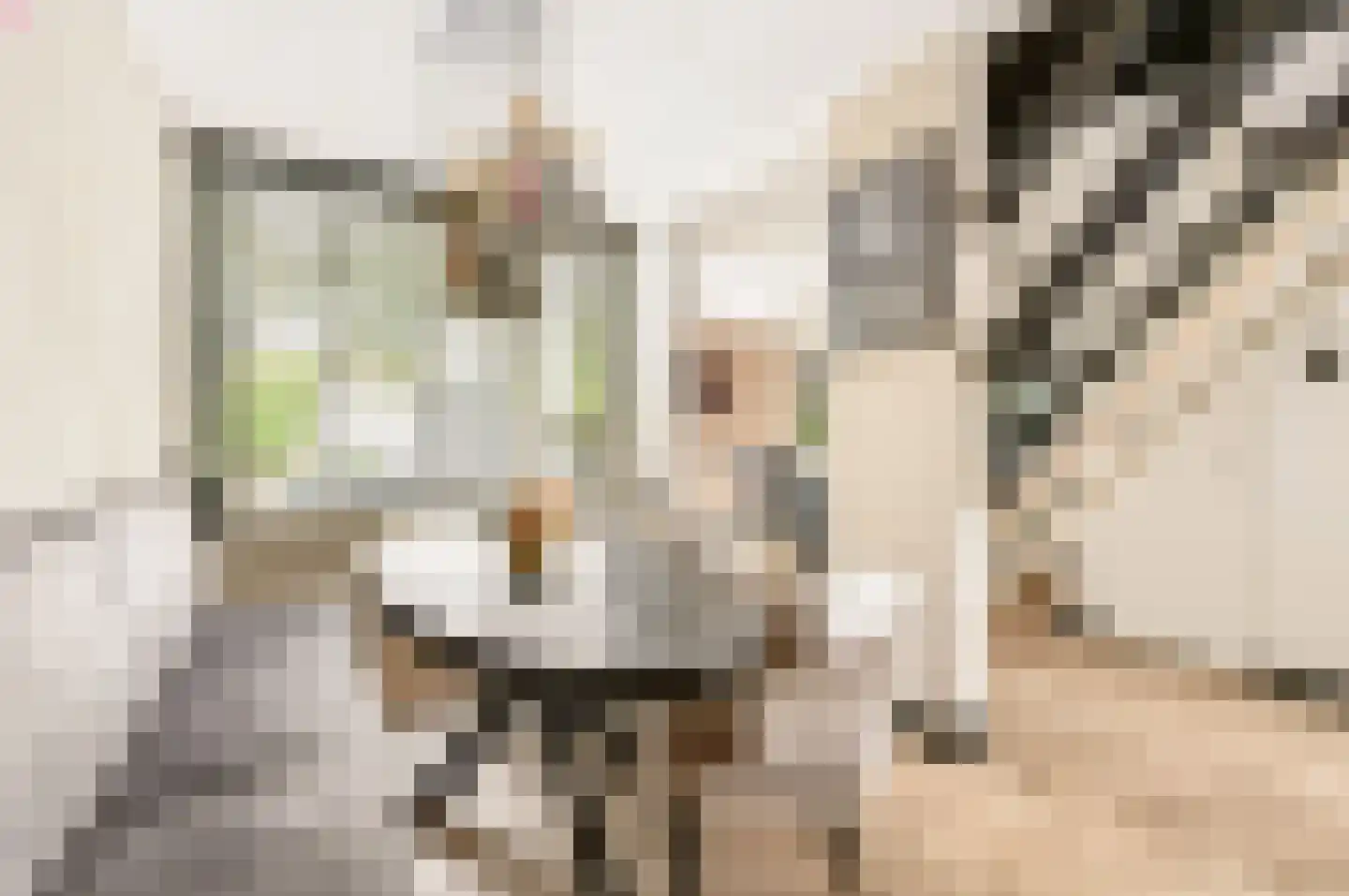 Rietdekkersdreef 312 Apeldoorn thumbnail 11