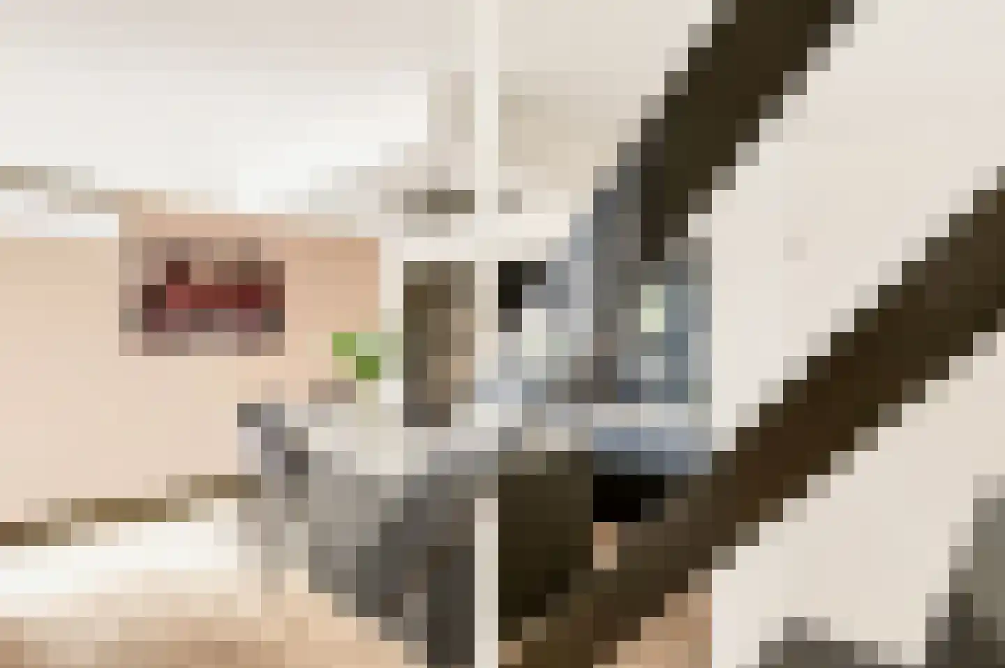 Rietdekkersdreef 312 Apeldoorn thumbnail 14