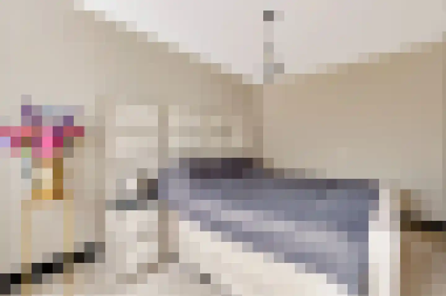 Rietdekkersdreef 312 Apeldoorn thumbnail 18