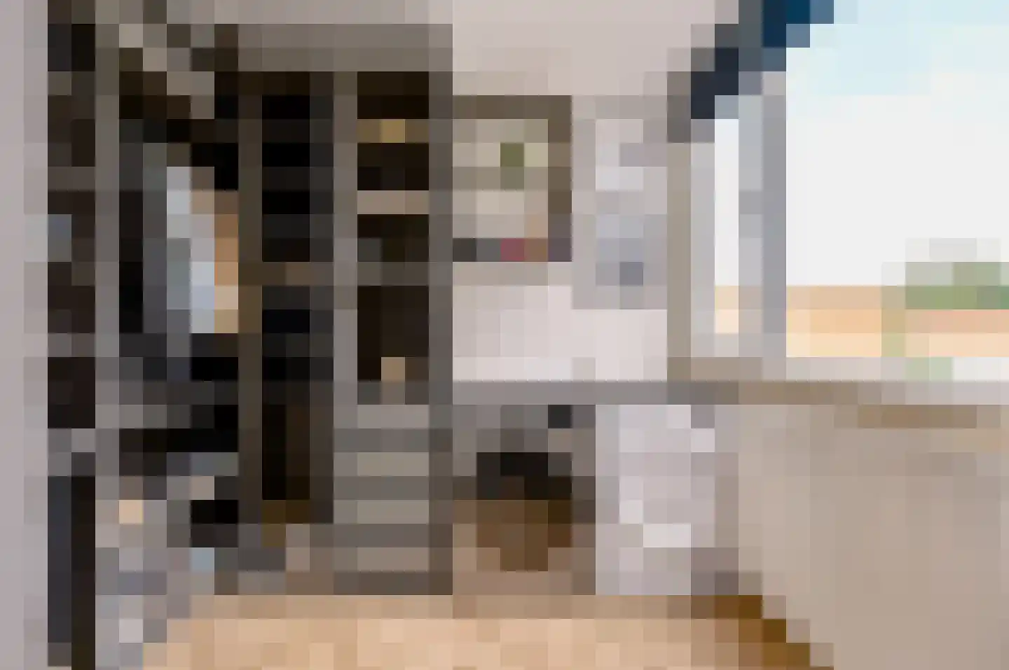 Rietdekkersdreef 312 Apeldoorn thumbnail 24