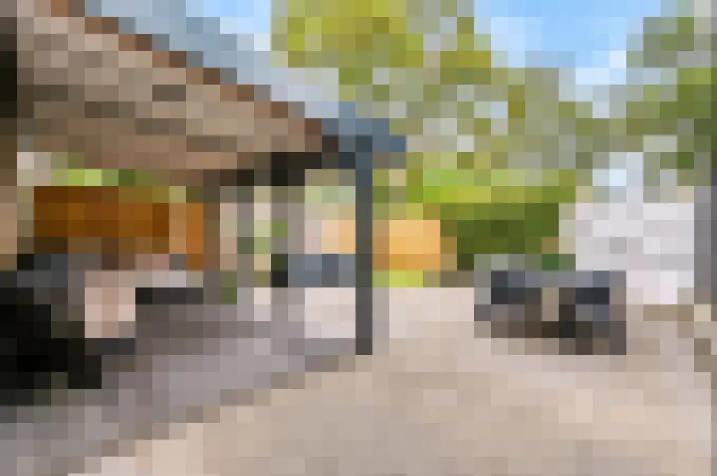 Rietdekkersdreef 312 Apeldoorn thumbnail 25