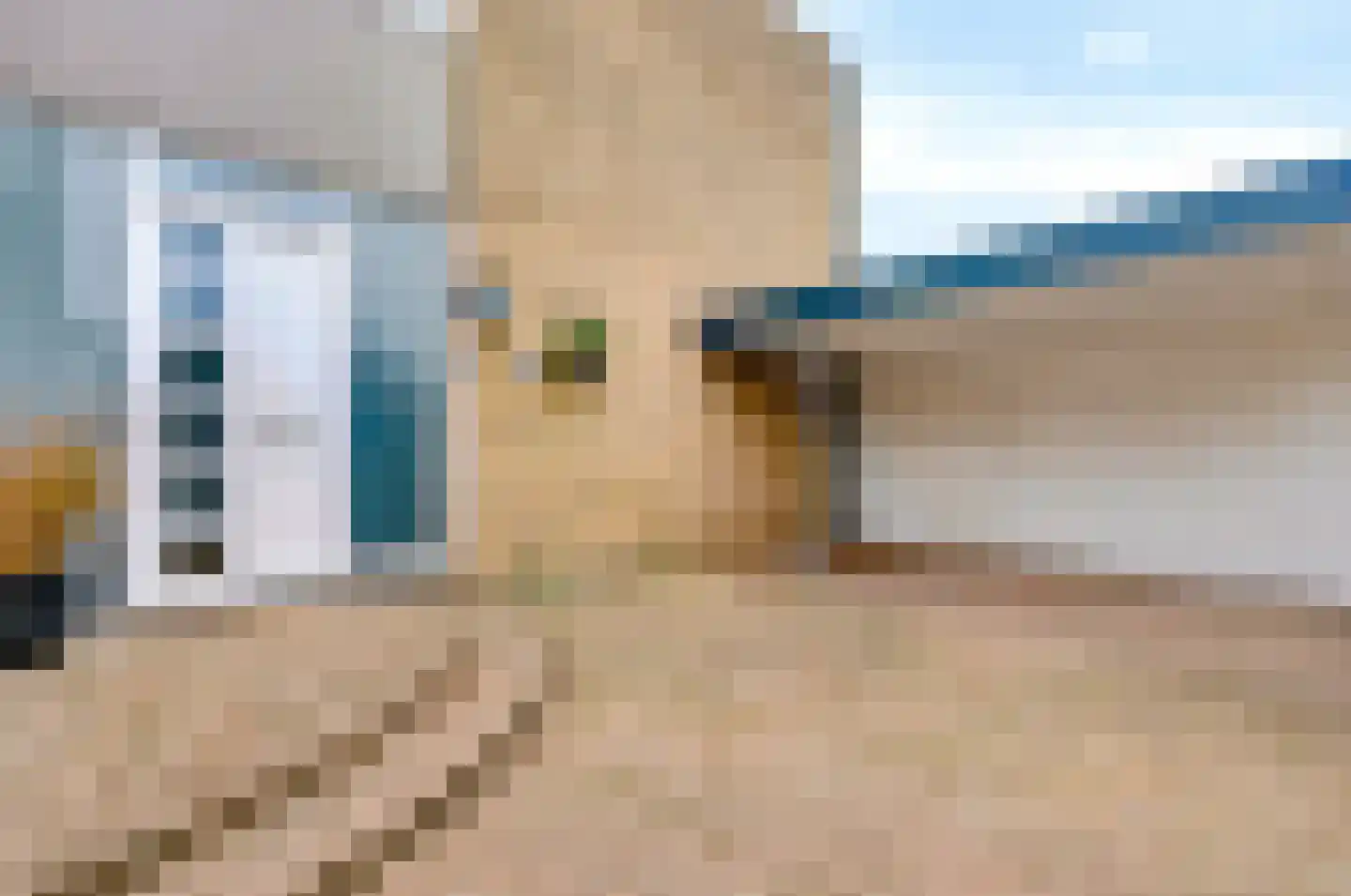 Rietdekkersdreef 312 Apeldoorn thumbnail 29
