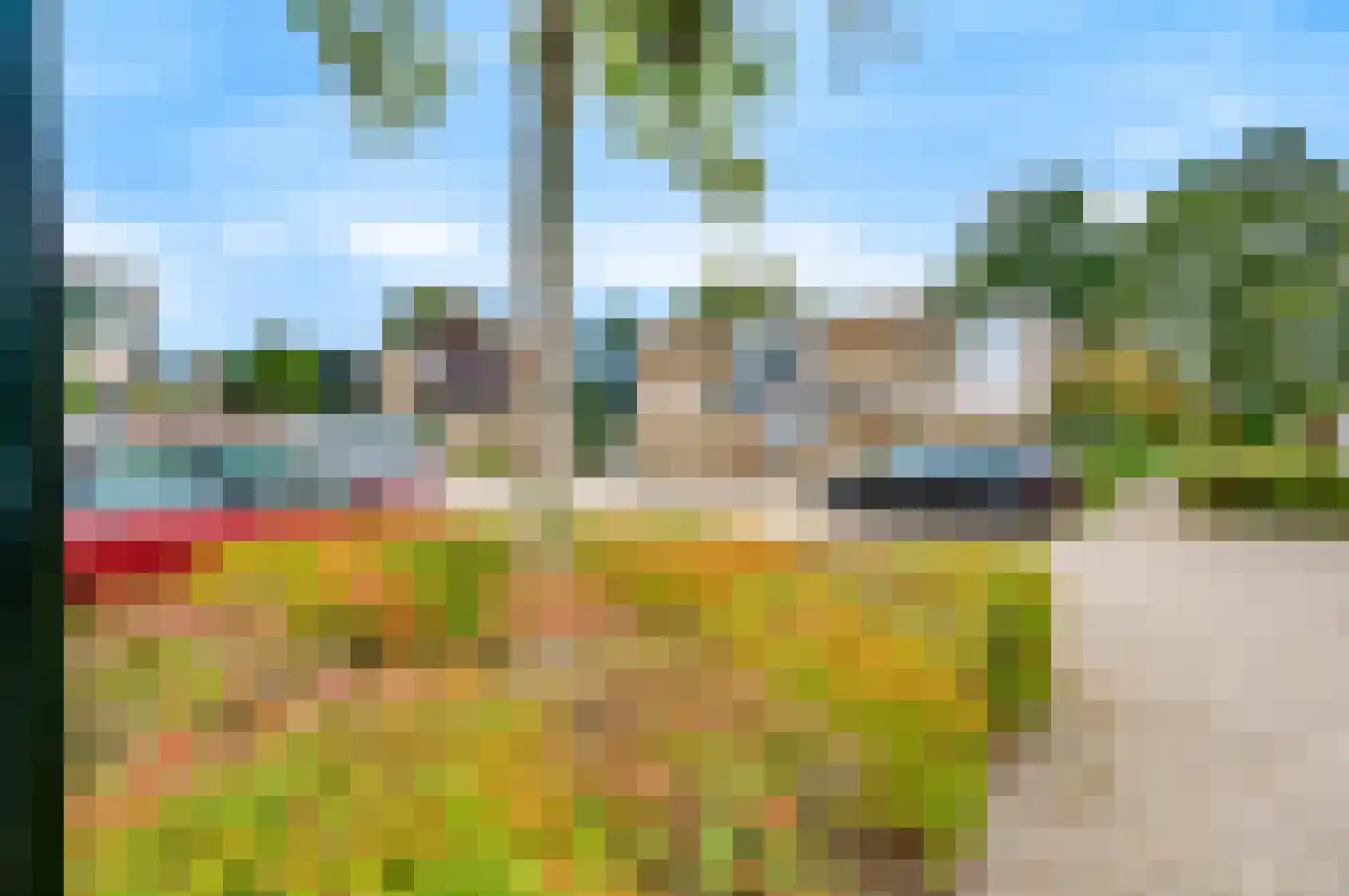 Rietdekkersdreef 312 Apeldoorn thumbnail 30