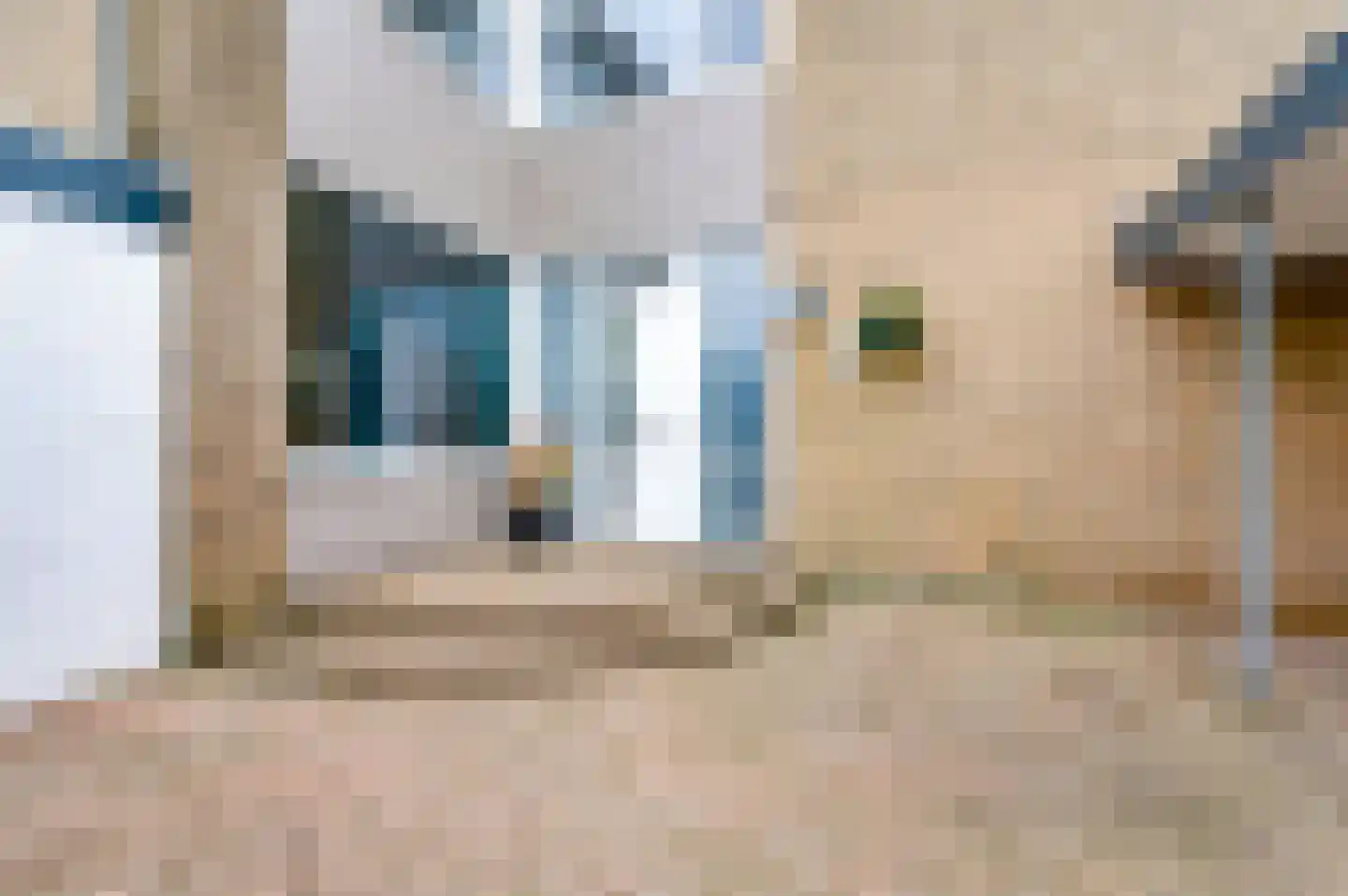 Rietdekkersdreef 312 Apeldoorn thumbnail 5