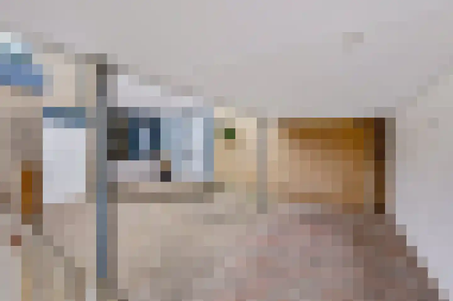 Rietdekkersdreef 312 Apeldoorn thumbnail 6