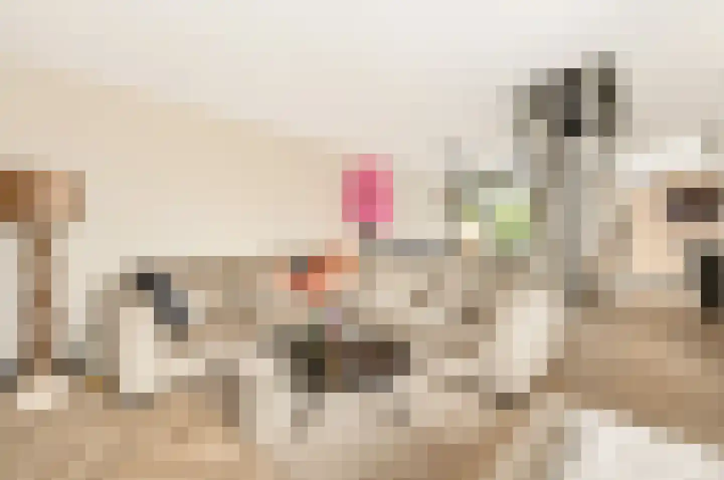 Rietdekkersdreef 312 Apeldoorn thumbnail 8