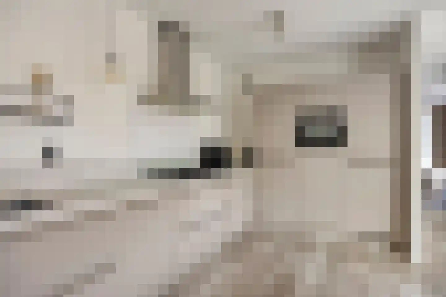 Rietdekkersdreef 320 Apeldoorn thumbnail 10
