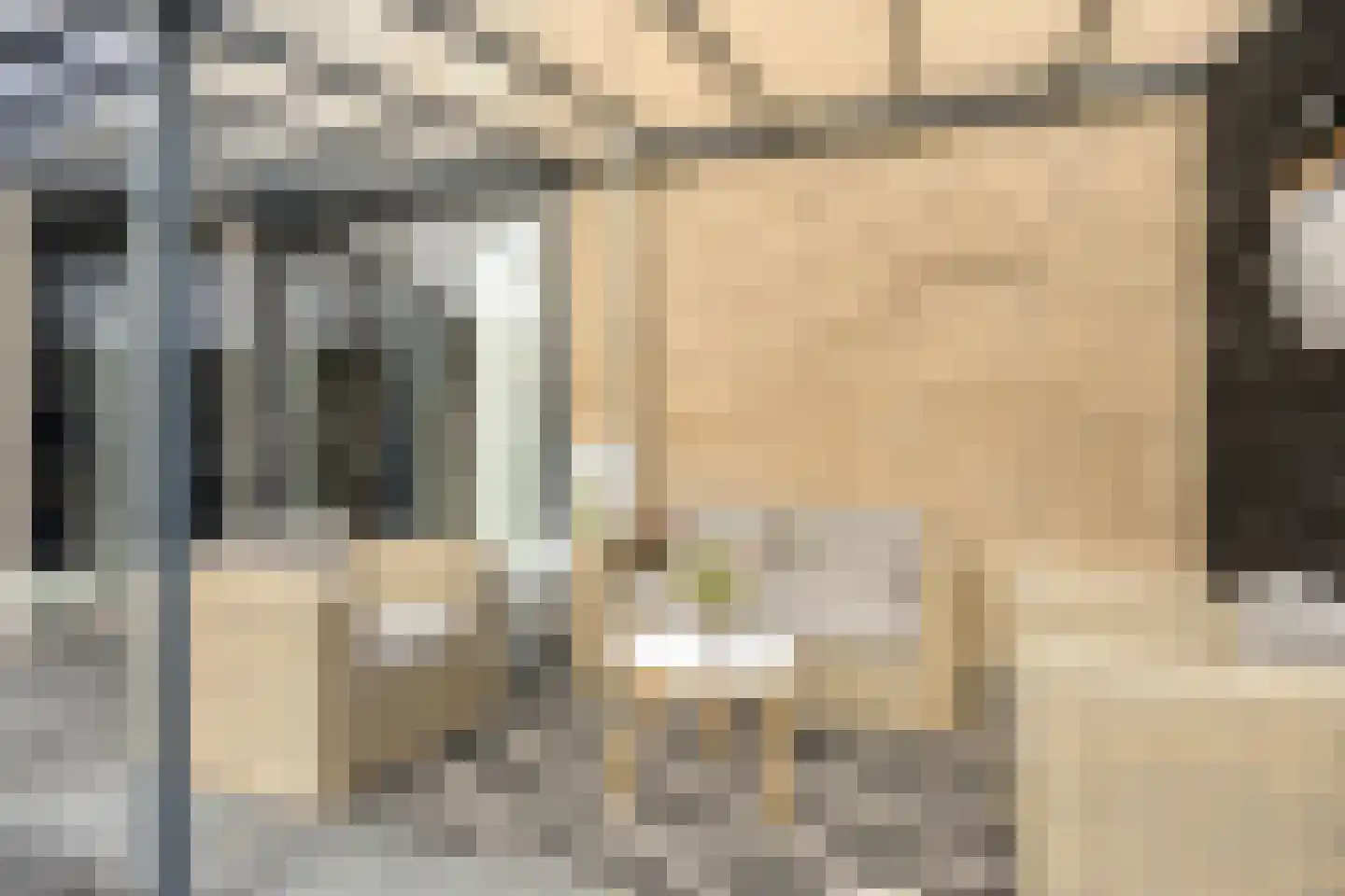 Rietdekkersdreef 320 Apeldoorn thumbnail 24
