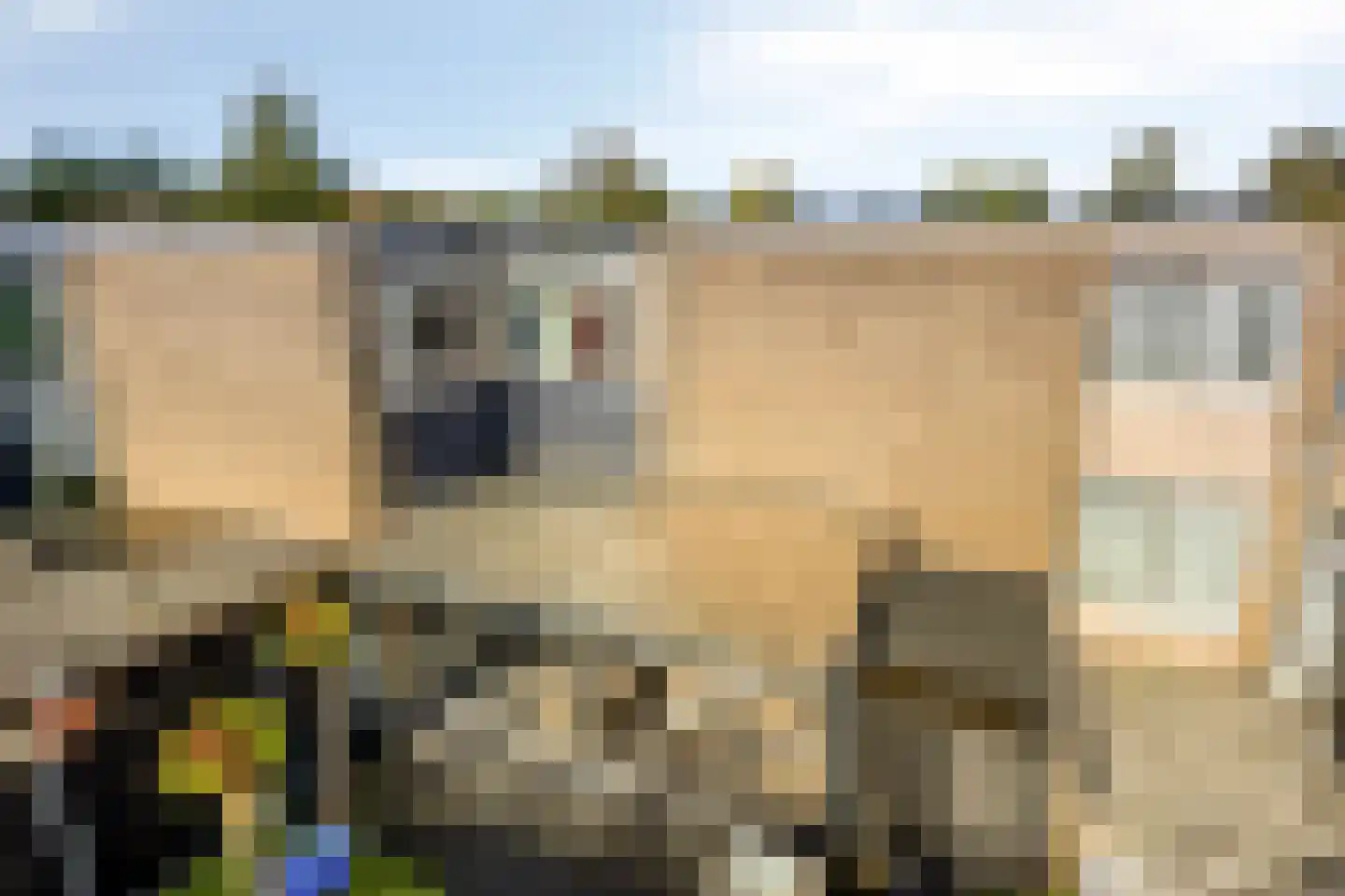 Rietdekkersdreef 320 Apeldoorn thumbnail 28